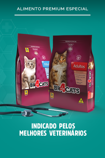 Banner - Marcas BR 4 Cat - Premium