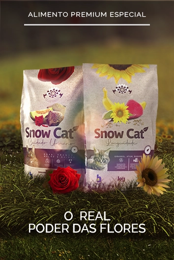 Banner - Marcas Snow Cat Flores 2