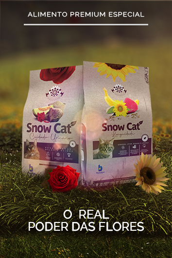Banner - Marcas Snow Cat Flores